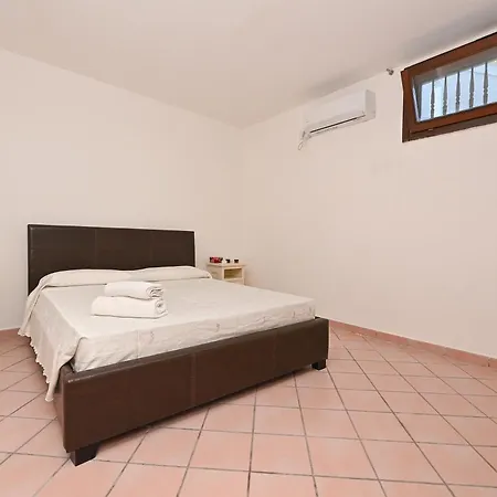 Delle Libellule Daire *