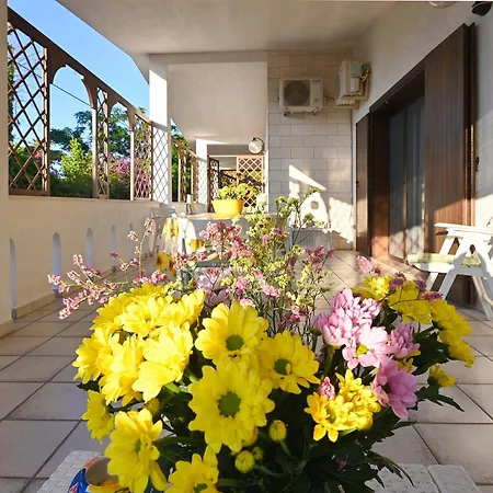 Daire Delle Libellule *