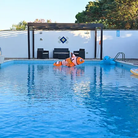 Delle Libellule Daire