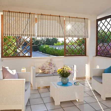 Delle Libellule Serranova