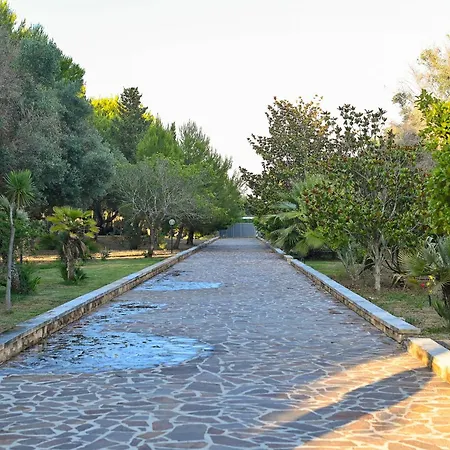 Delle Libellule Serranova