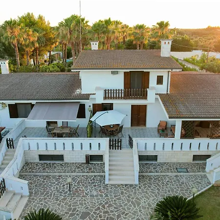 Delle Libellule Daire