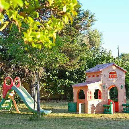 Delle Libellule Daire *